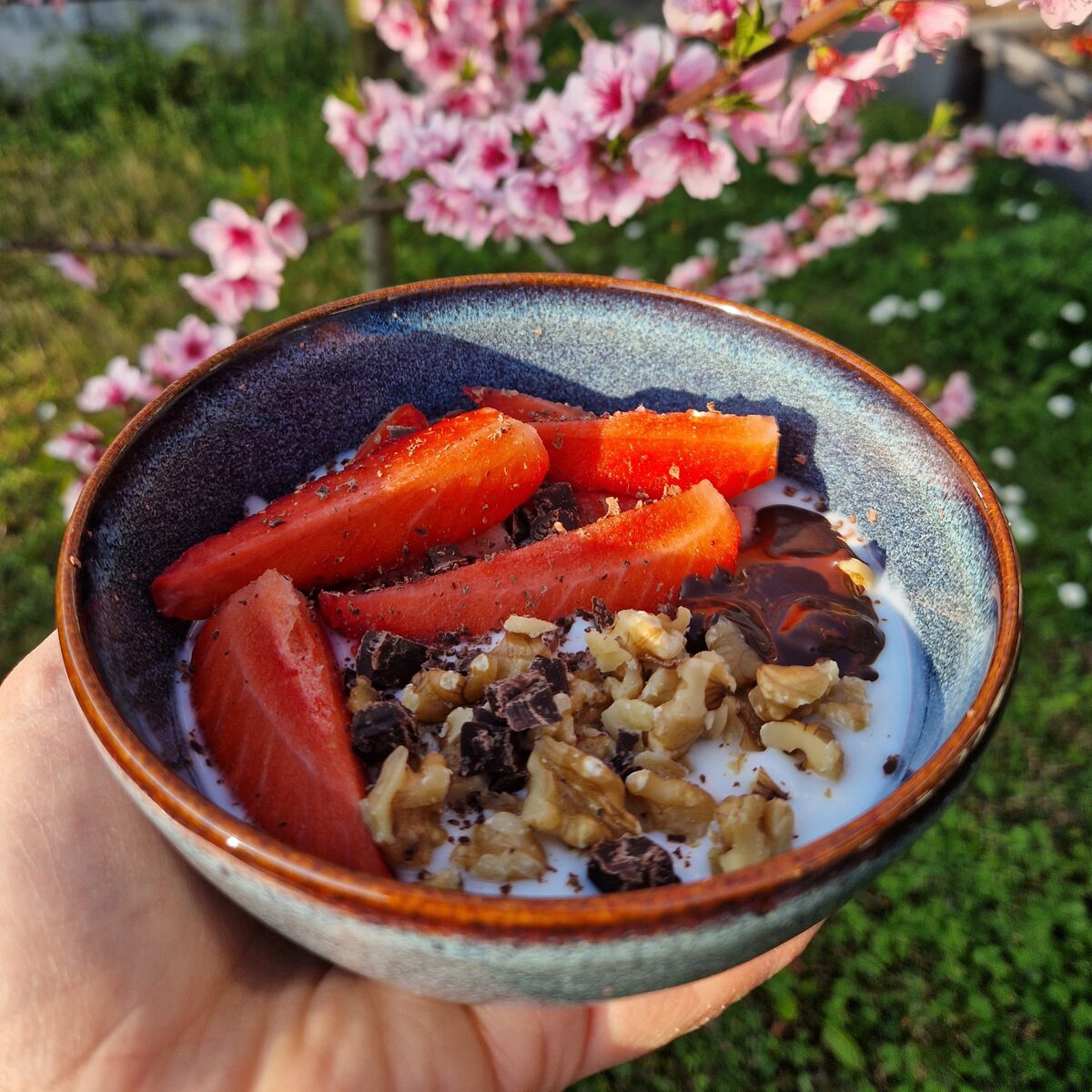 Yogurt con fragole, noci e cioccolato fondente